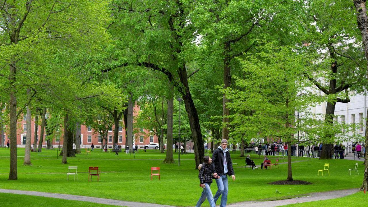Trump Sends Harvard Antisemitism Case to Justice Department