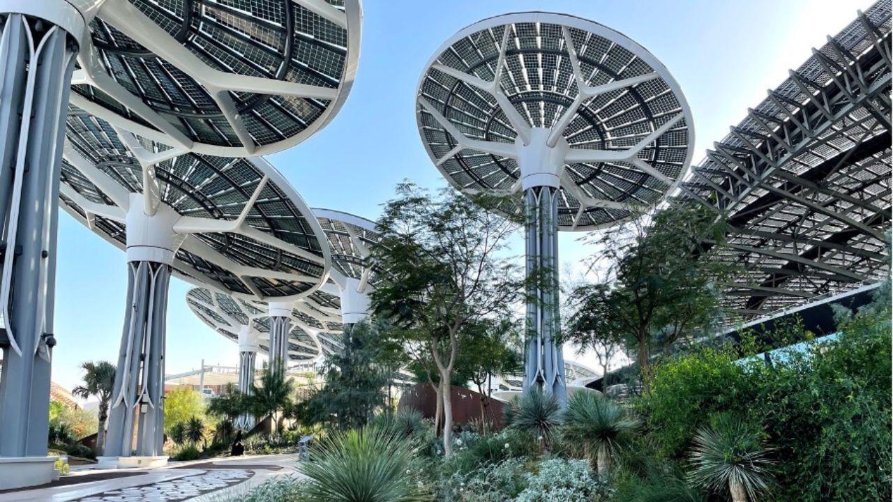 Desert Group Showcases Green Innovations at Myplant & Garden ME 2025