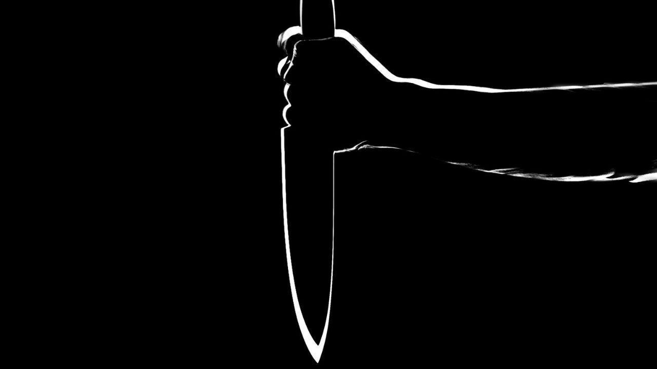 Japanese Man Arrested for Killing Father After Bear Attack Confusion