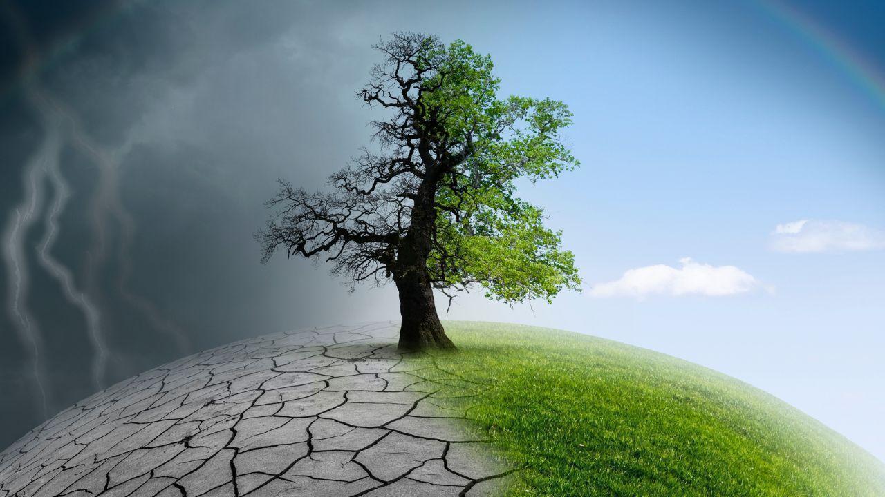 Small Actions That Fight Climate Change