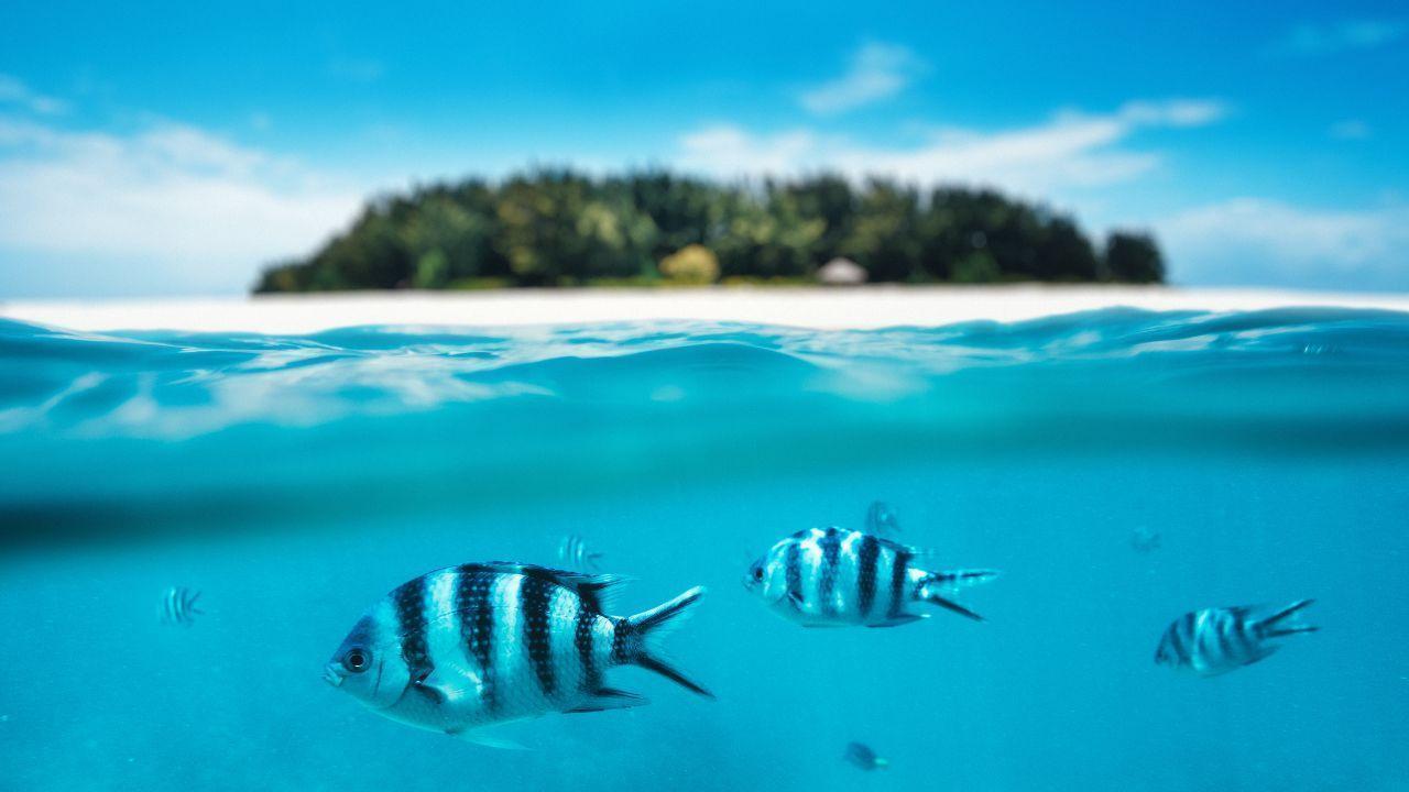 Underrated Islands You Need to Visit Before Everyone Else Does