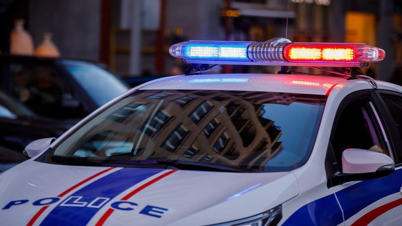 Tragic Shark Attack in Sydney Kills Experienced Surfer at Long Reef Beach