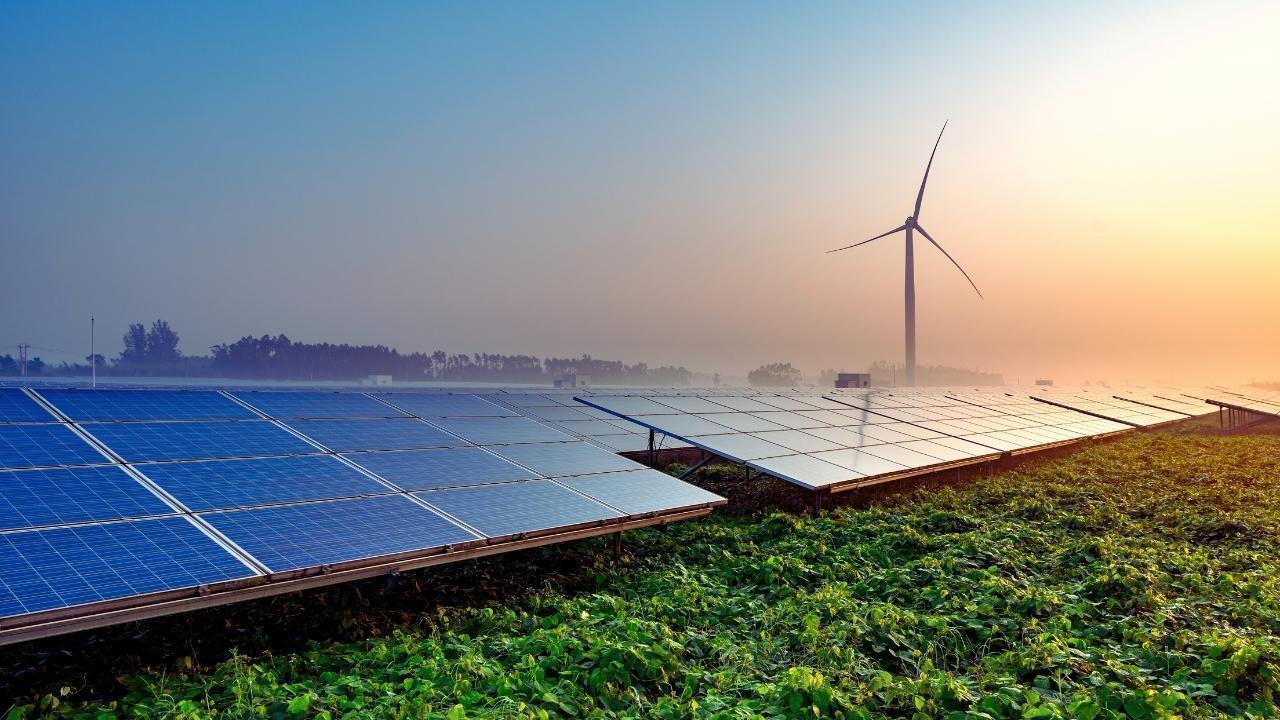 Regenerative Farming: Why It’s Becoming the Future of Sustainable Agriculture
