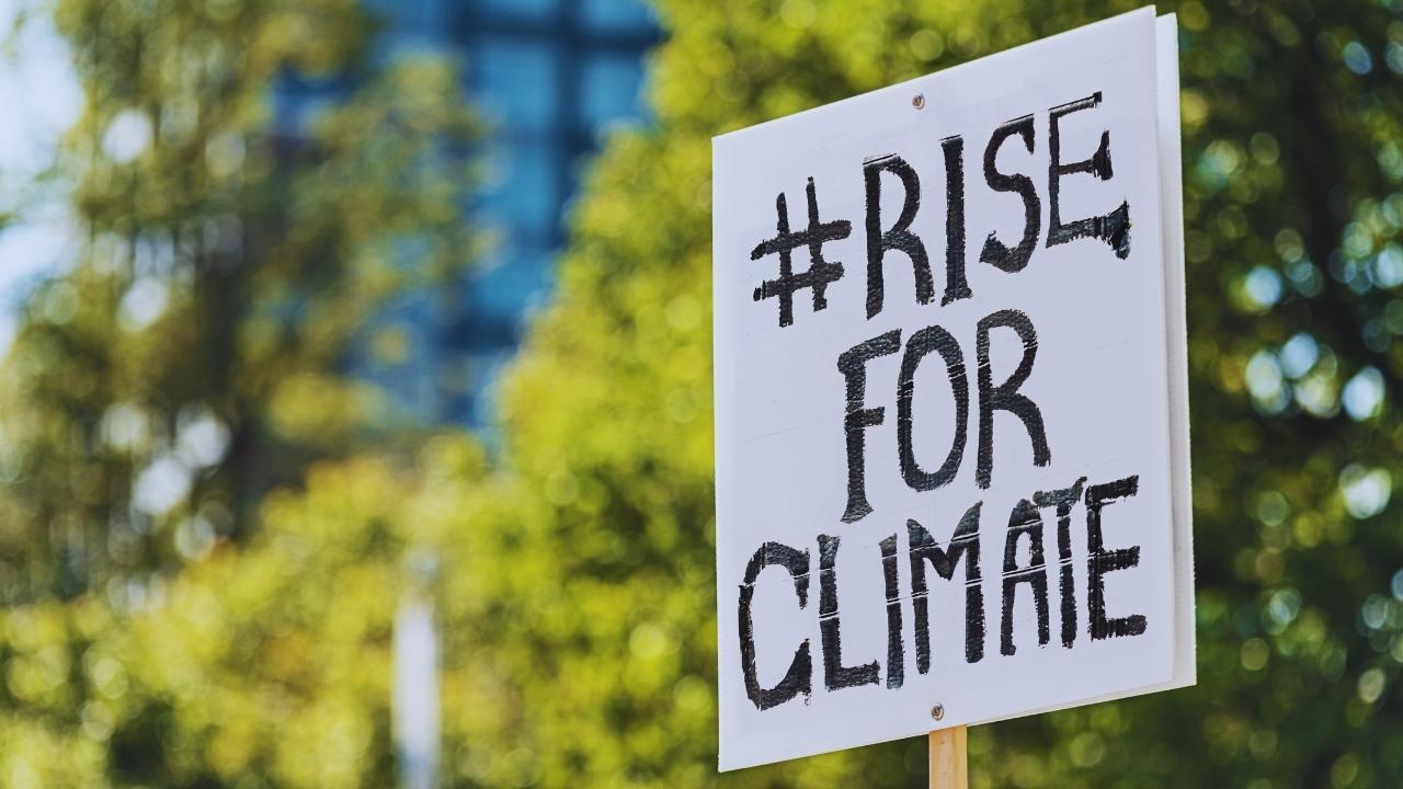 Urban Climate Solutions: Local Governments Taking the Lead