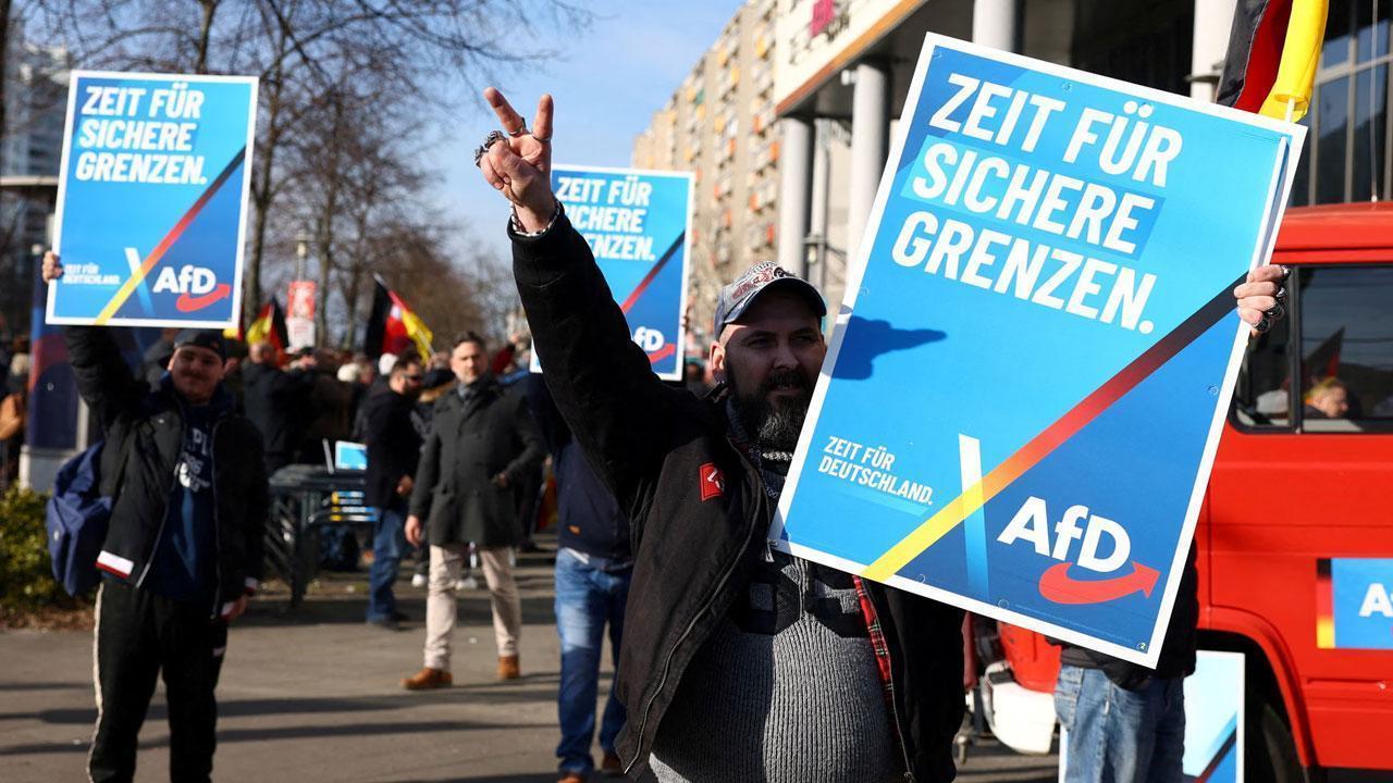 Global Elections Show Rising LGBTQ+ Candidates and Backlash Worldwide