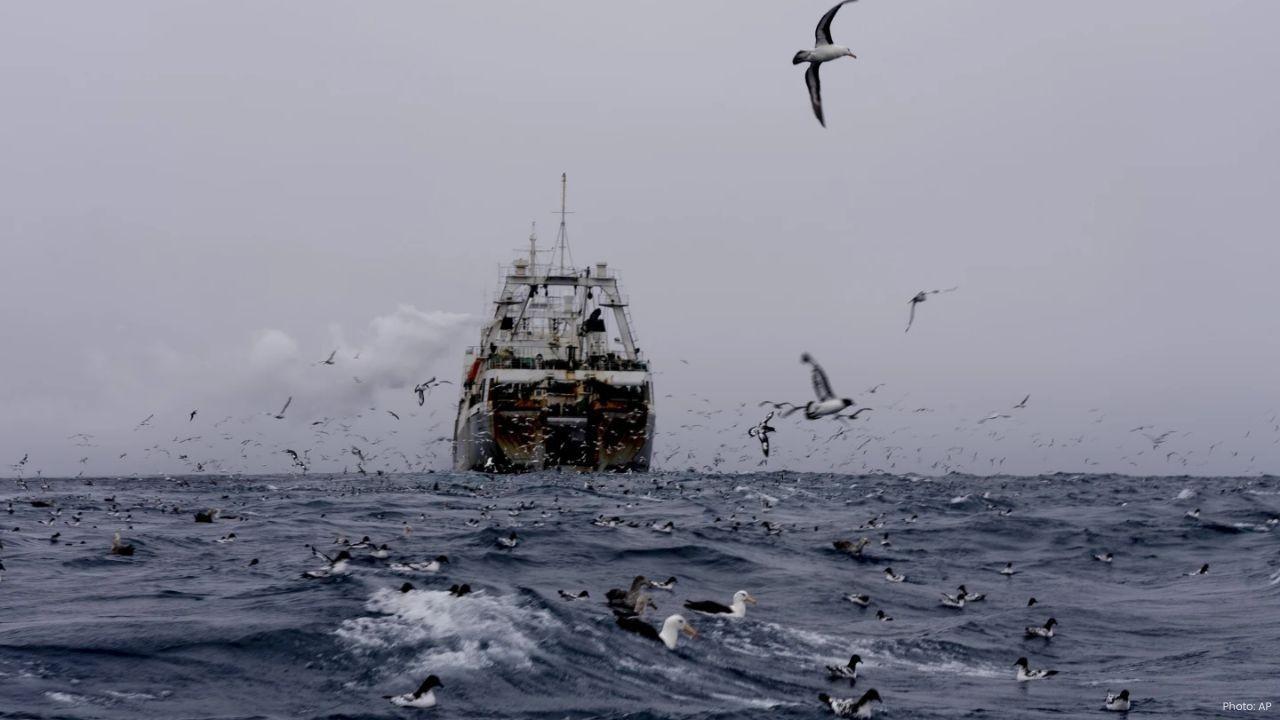 WTO Historical Fisheries Deal Now in Effect to End Overfishing