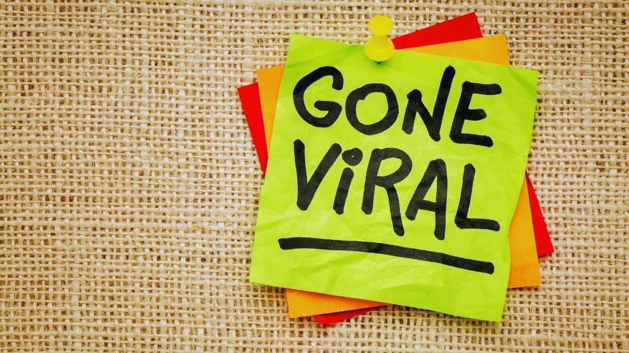 The Psychology of Viral Content: Why Some Trends Explode Overnight