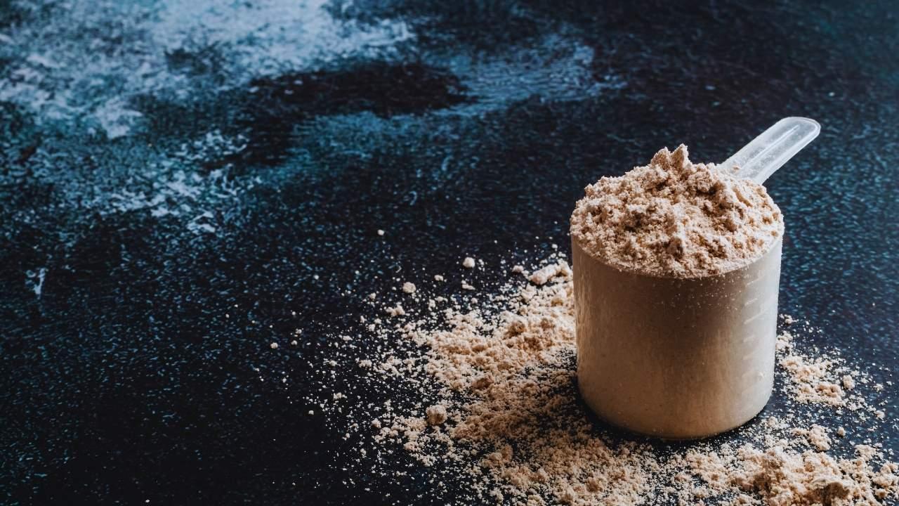 Top 10 Vegan Protein Powders for Fitness and Longevity