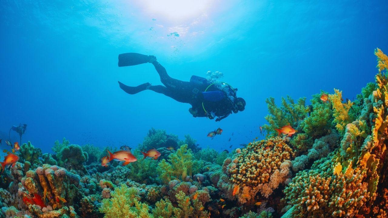 Ocean Exploration: New Discoveries Beneath the Waves Ocean Exploration: New Discoveries Beneath the Waves