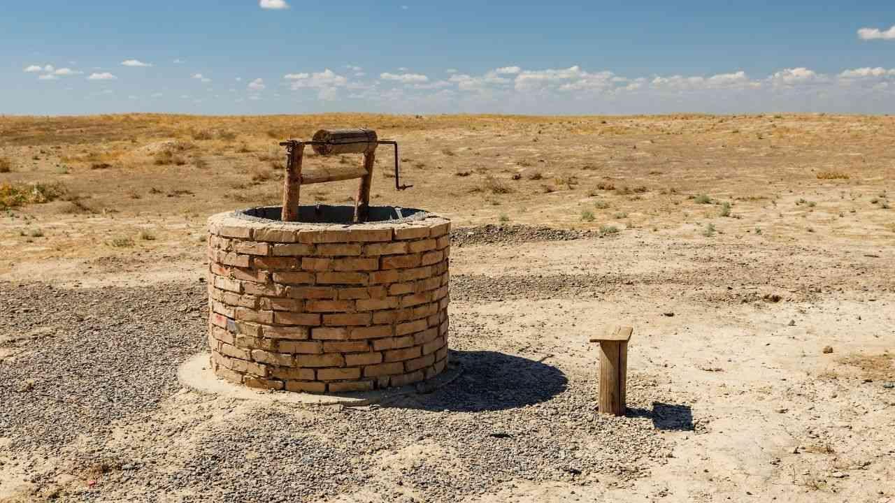 The Bare Essentials: Food and Water Requirements for Survival