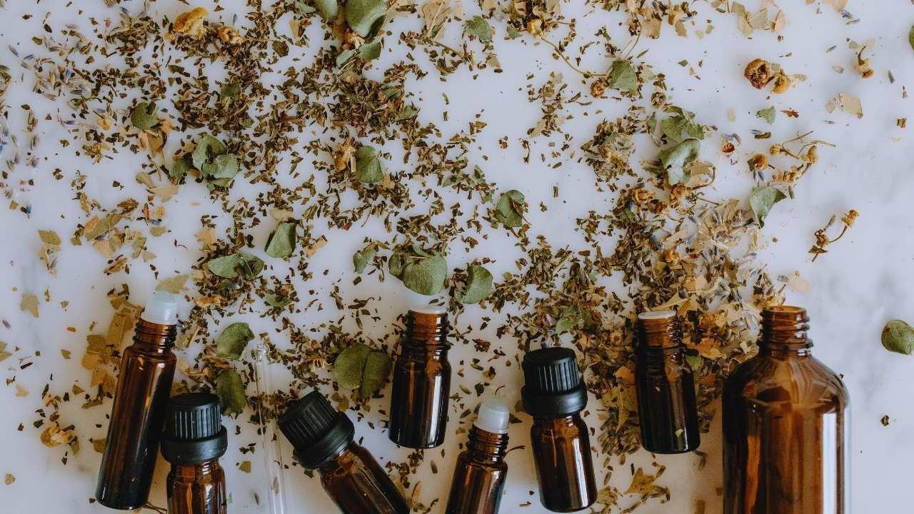 Natural Remedies and Traditional Medicine Making a Comeback Natural Remedies and Traditional Medicine Making a Comeback