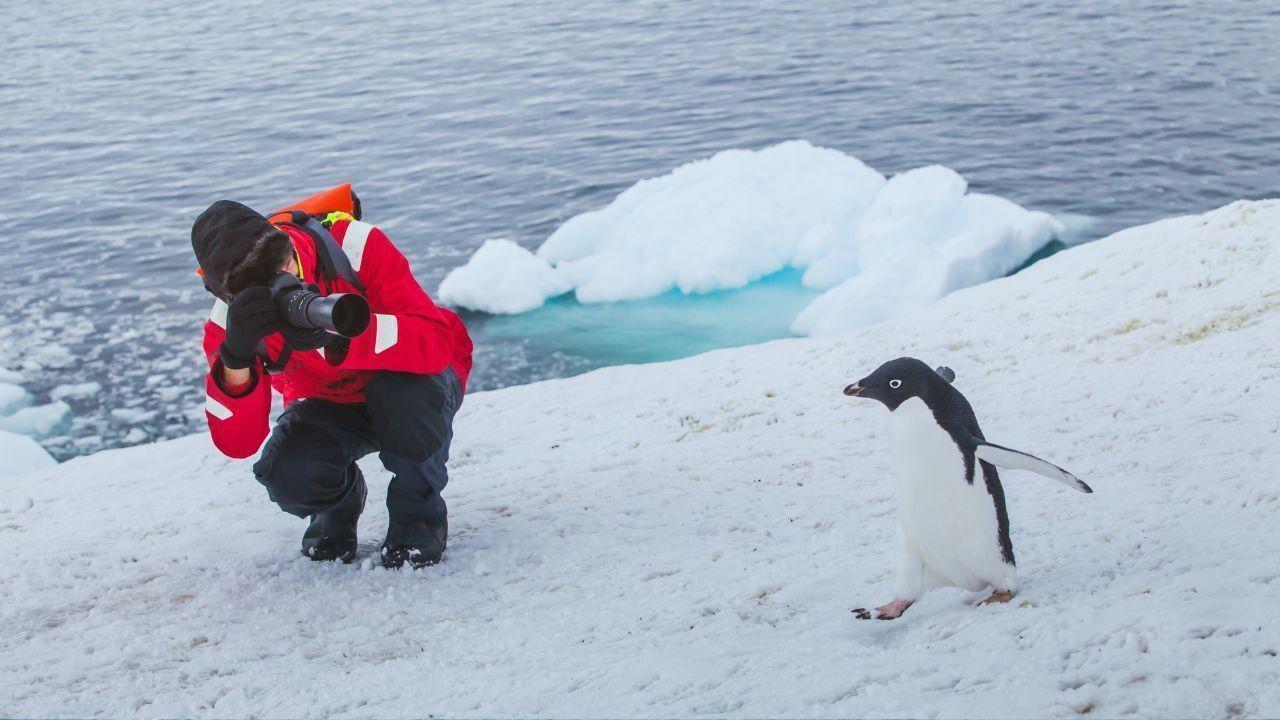 How to Visit Antarctica: Cruise Tips & What to Expect