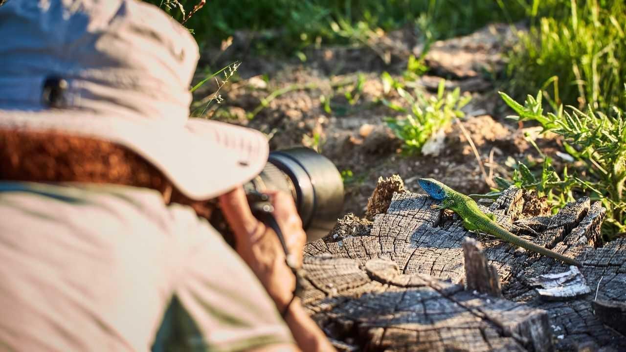 Incredible Wildlife Hotspots Every Nature Enthusiast Must Visit