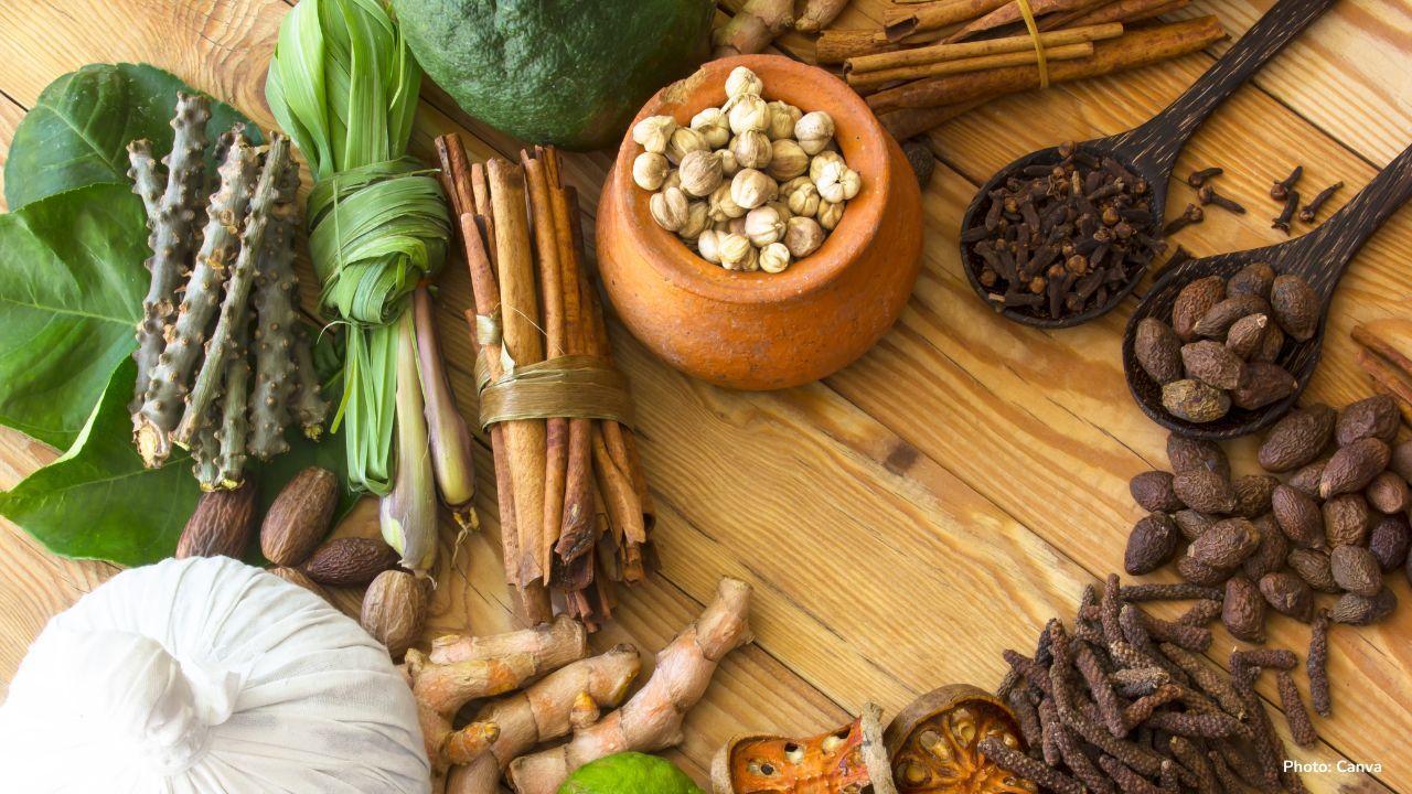 Global Embrace of Ayurveda: India's Ancient Healing in Modern Wellness