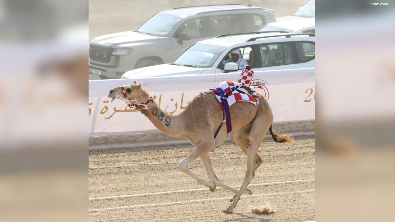 Sheikh Sultan Witnesses Vibrancy of Al Dhafra Camel Racing Festival