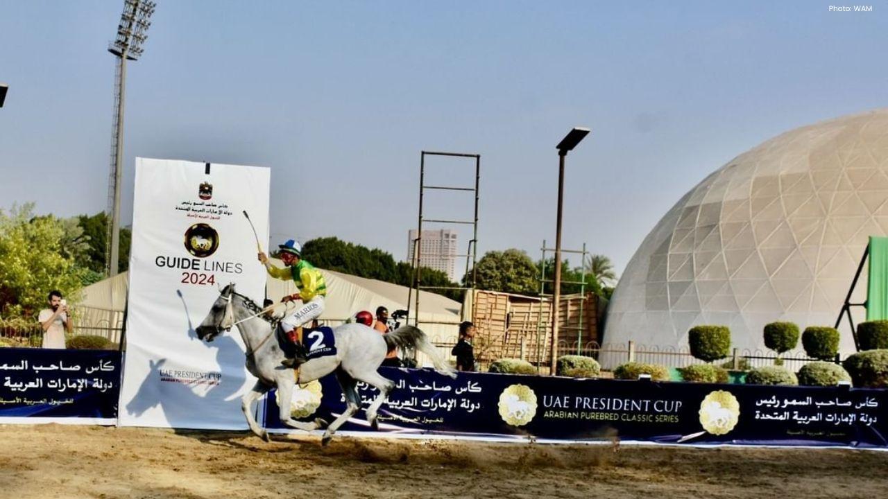 Cairo Welcomes the 15th UAE President’s Cup for Arabian Horses