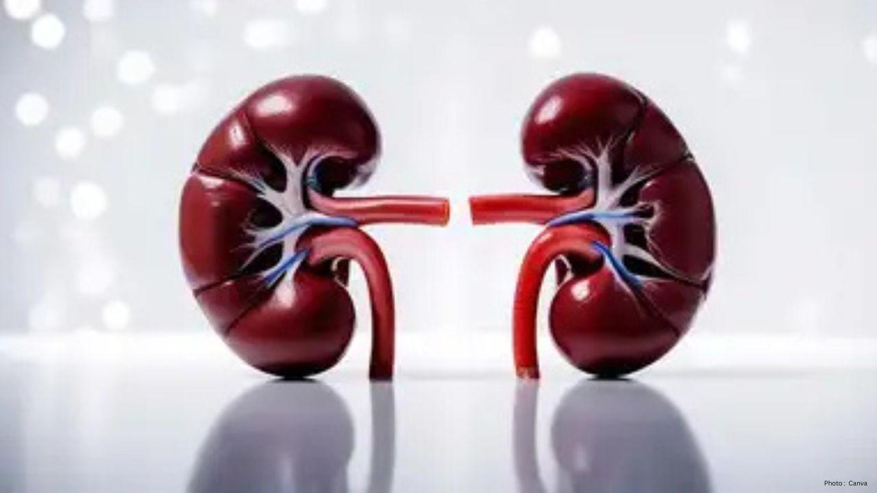 Spike in Acute Kidney Failure Among Young Adults in Hyderabad Raises Concern Spike in Acute Kidney Failure Among Young Adults in Hyderabad Raises Concern
