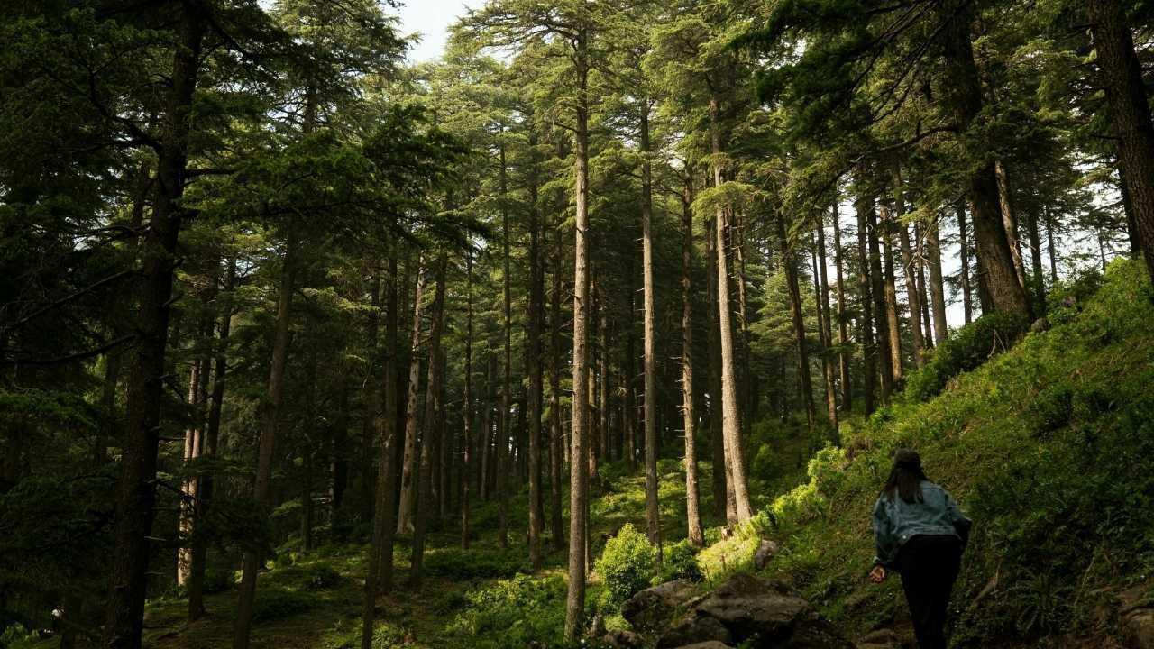 Why Wellness Resorts Are Competing with Adventure Travel in 2025