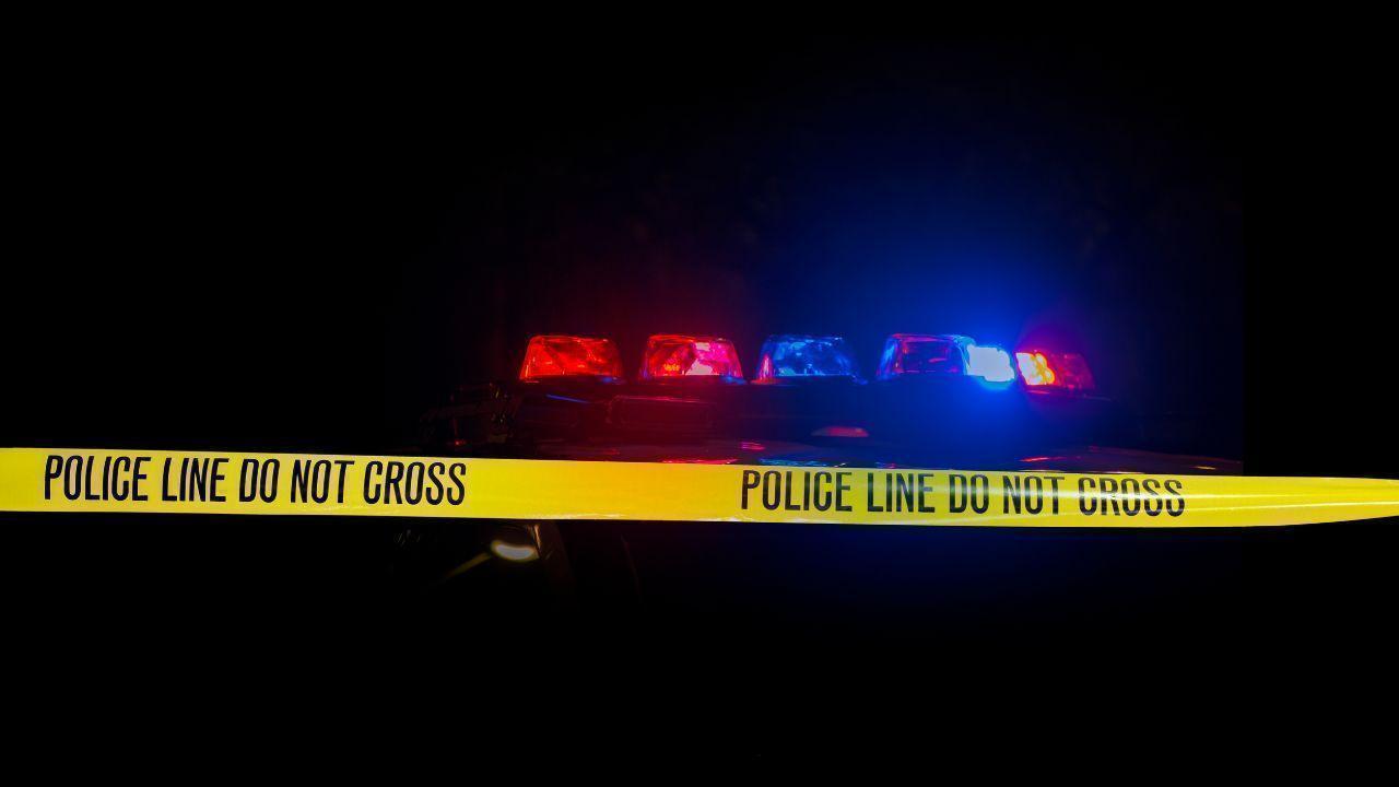 Baby Killed In Wales Dog Attack UK Police Probe Ongoing After Tragedy