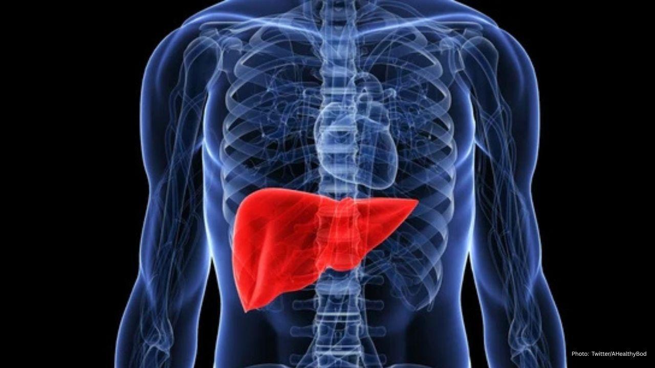 Delhi Diabetologist Outlines Body Clues for Fatty Liver and Early Insulin Resistance