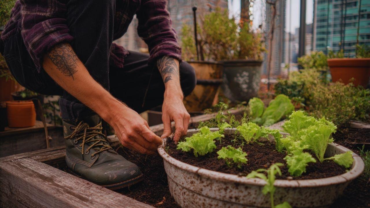 Urban Gardening Revival: How City Residents Are Cultivating Green Spaces
