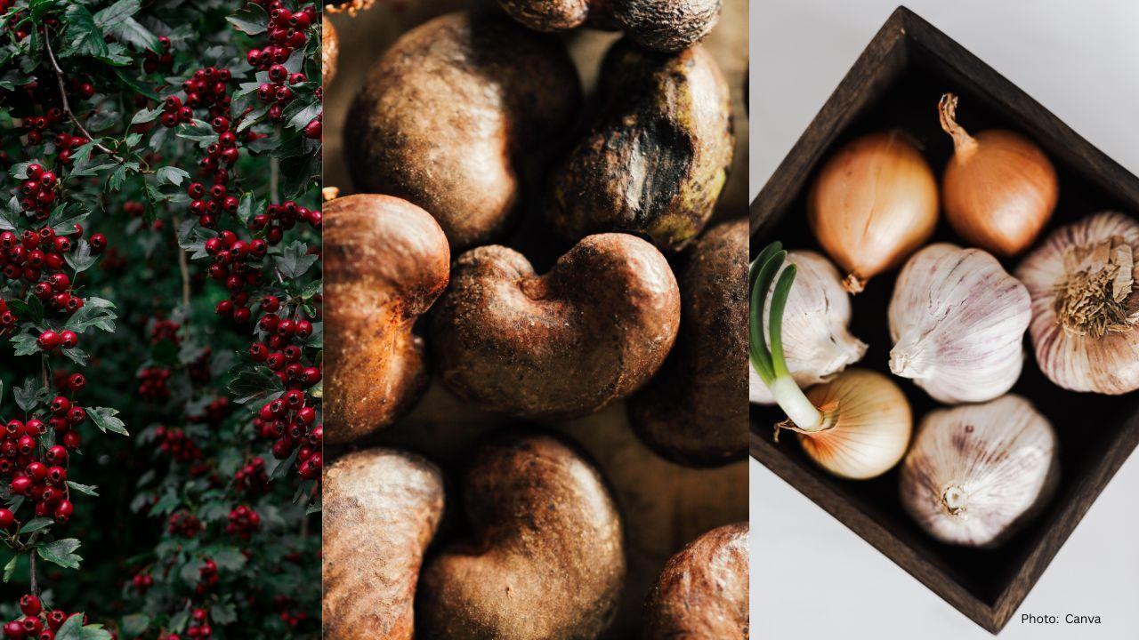 5 Natural Foods to Boost Kidney Health and Prevent Damage