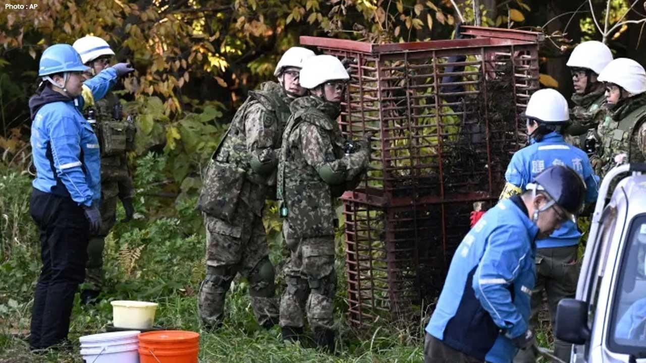 Japan Reports Unprecedented Bear Attacks in 2025 Due to Population Growth