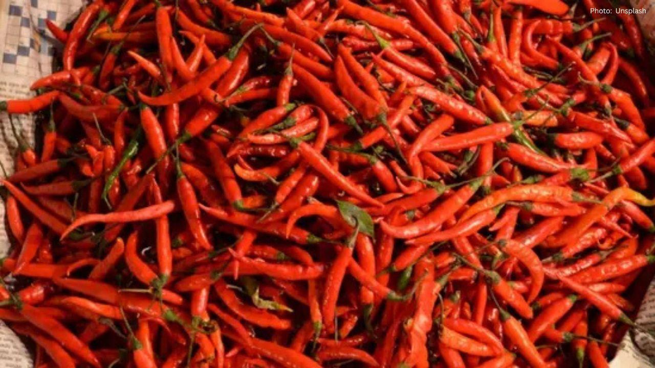 The Allure of Spicy Food: Unraveling Our Fascination with Chillies
