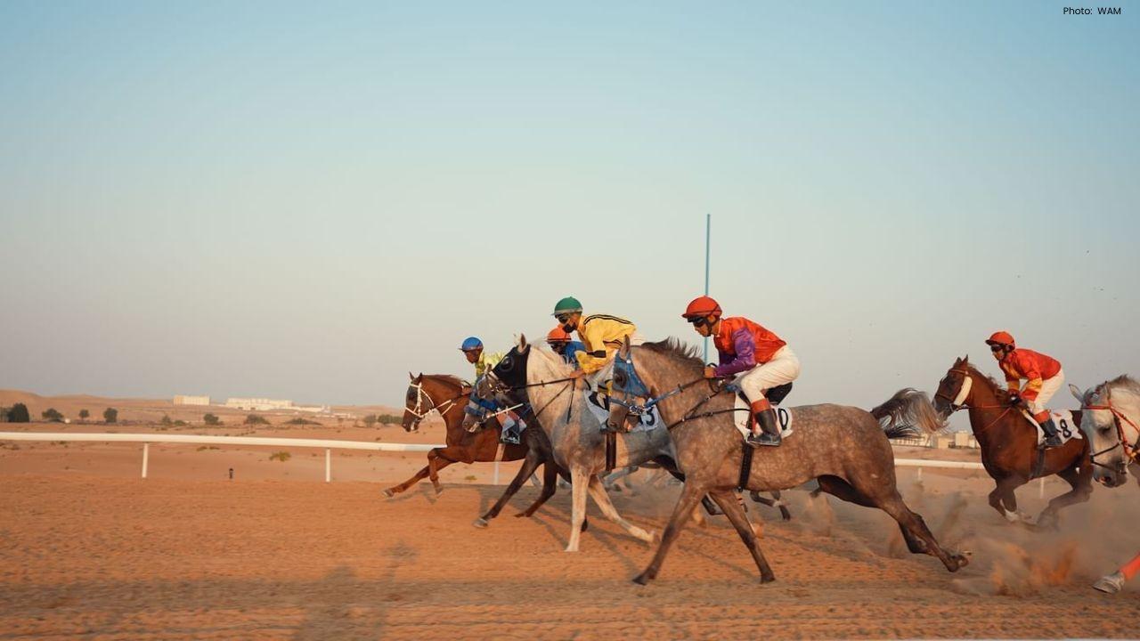 Liwa Sports Club Celebrates Success at Purebred Arabian Horse Races