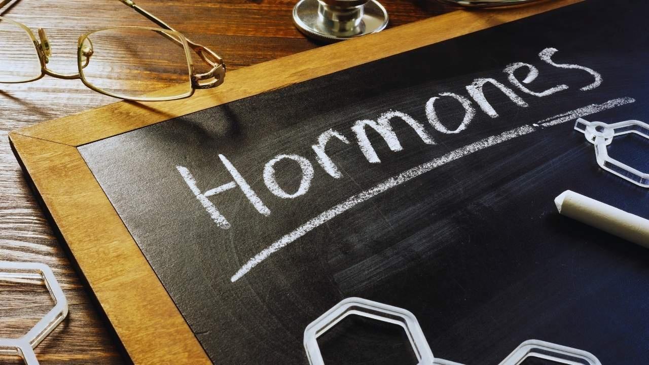 The Essentials of Hormonal Health: Recognizing Signs, Tests, and Doctor Consultations