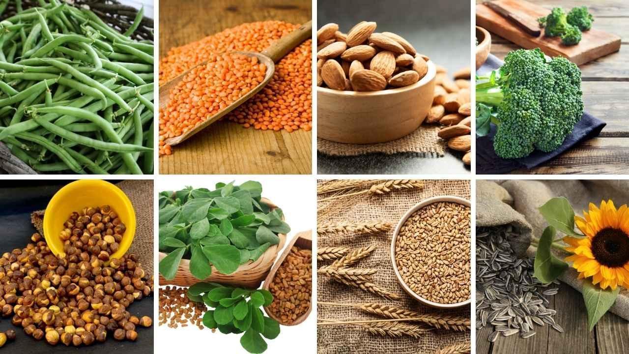 8 Foods That Increase in Nutrition After Sprouting
