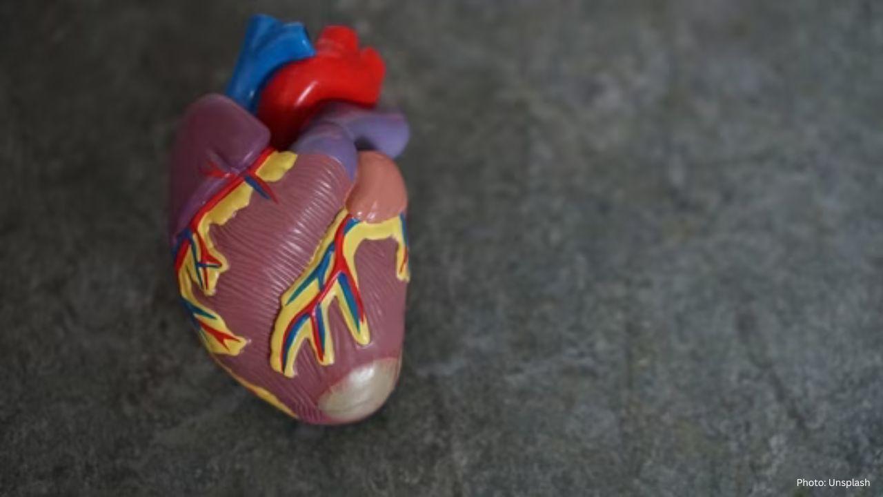 Heart Surgeon Alerts: Coughing When Lying Down Might Indicate Early Heart Failure