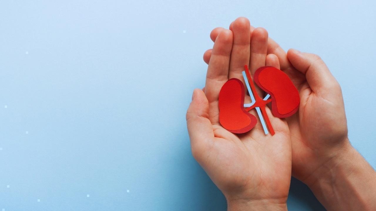 A Ray of Hope: Patients with Polycystic Kidney Disease Respond to New Antibody Therapy