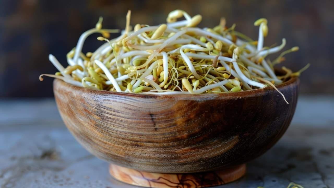 Unlocking the Benefits of Sprouts for Optimal Protein Intake
