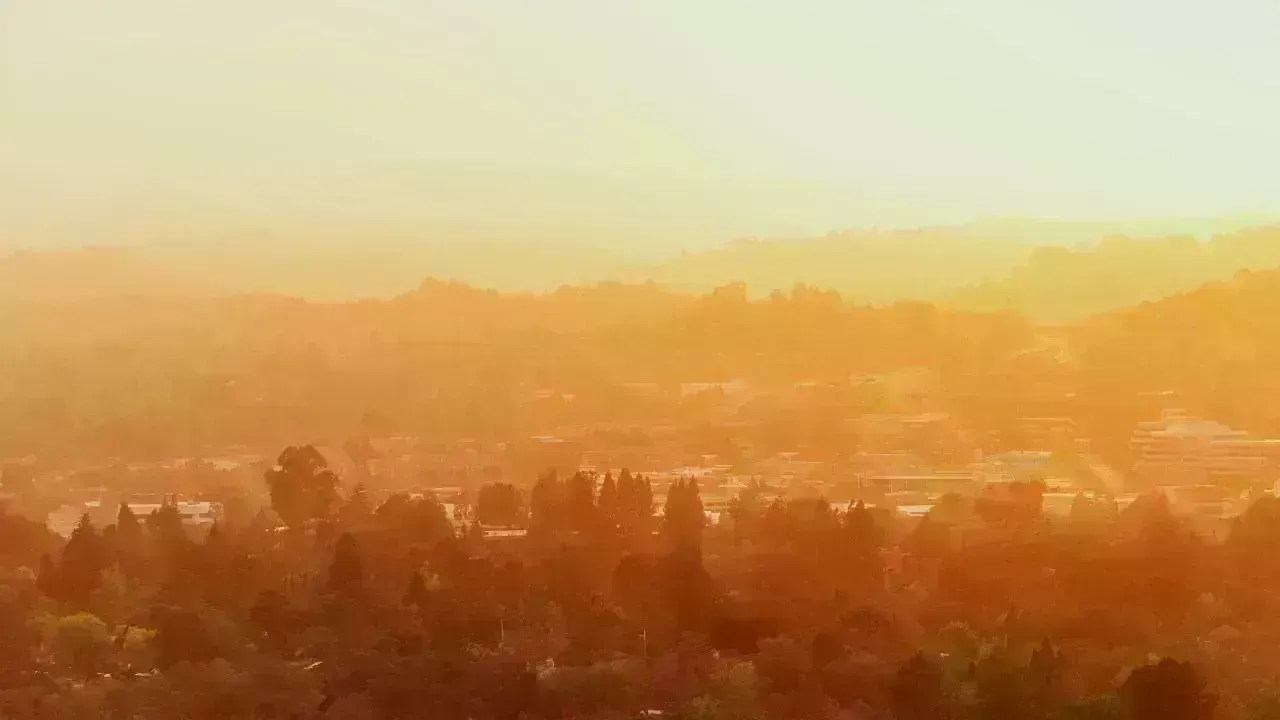 Urban Living Under Threat: The Growing Call to Leave Smog-Filled Cities