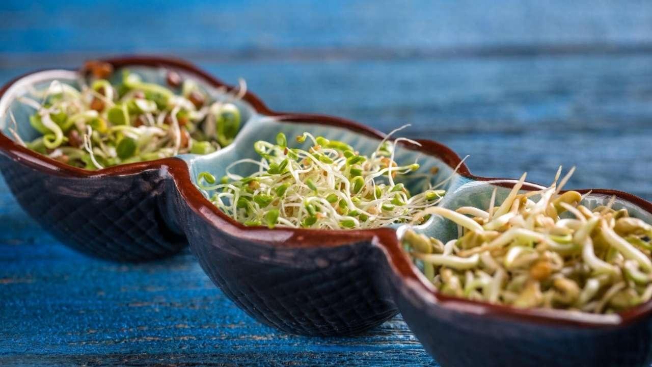 The Power of Sprouts: A Tiny Food Revolution for Weight Loss