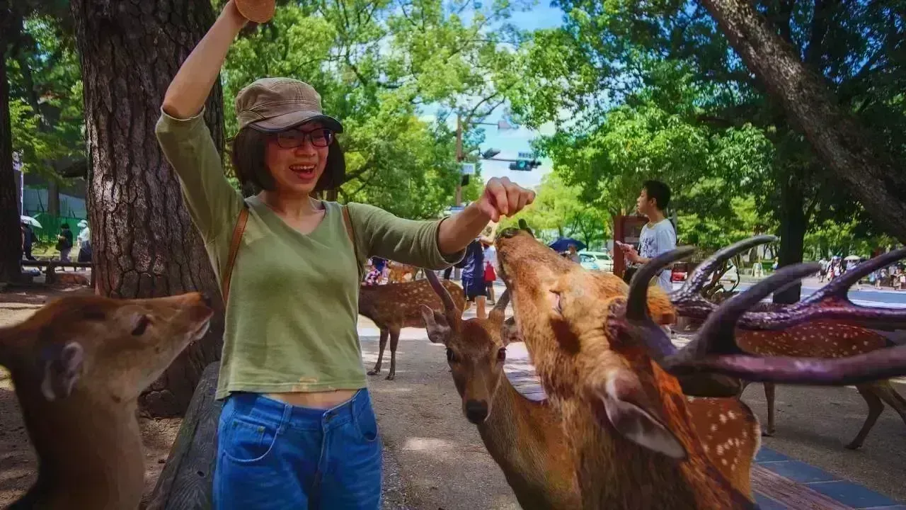 The Surge in Wildlife Park Visitors: A New Travel Trend