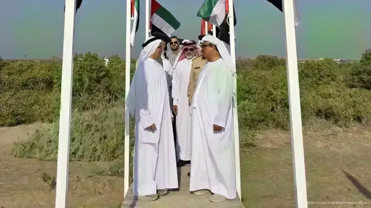 Dubai Unveils Ambitious Mangrove Planting Initiative in Wildlife Sanctuaries