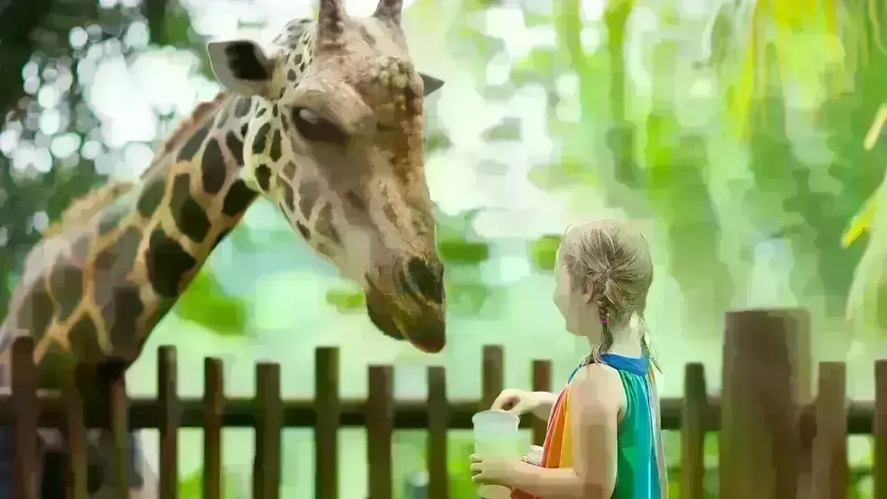 Celebrate Eid Al Etihad with 50% Discount at Dubai Safari Park