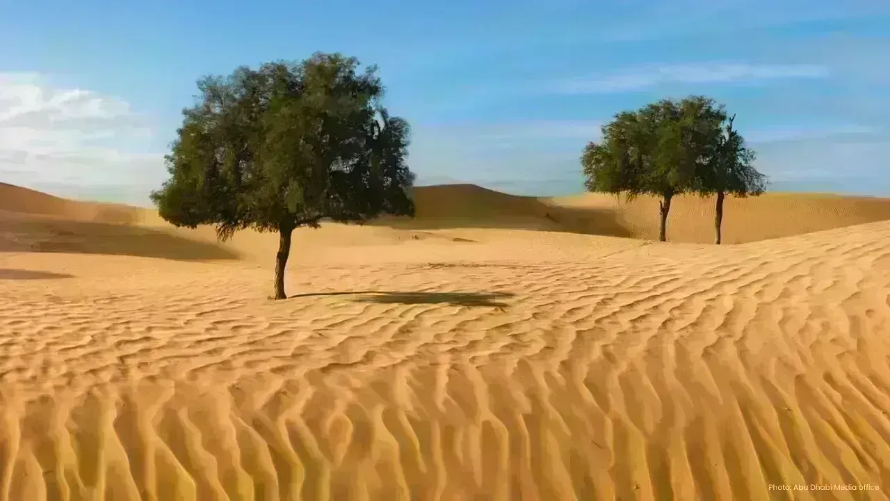 Breakthrough in Ghaf Tree Genomics Enhances UAE's Conservation Efforts