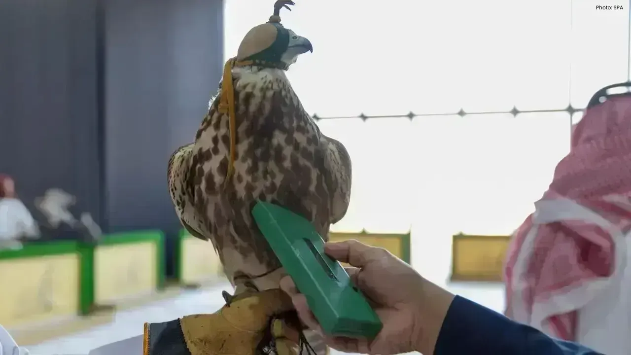 Launch of Falcon Registration Program by Saudi Falcons Club