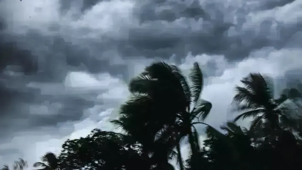 Urgent Preparations as Cyclone Ditwah Approaches the Coastline