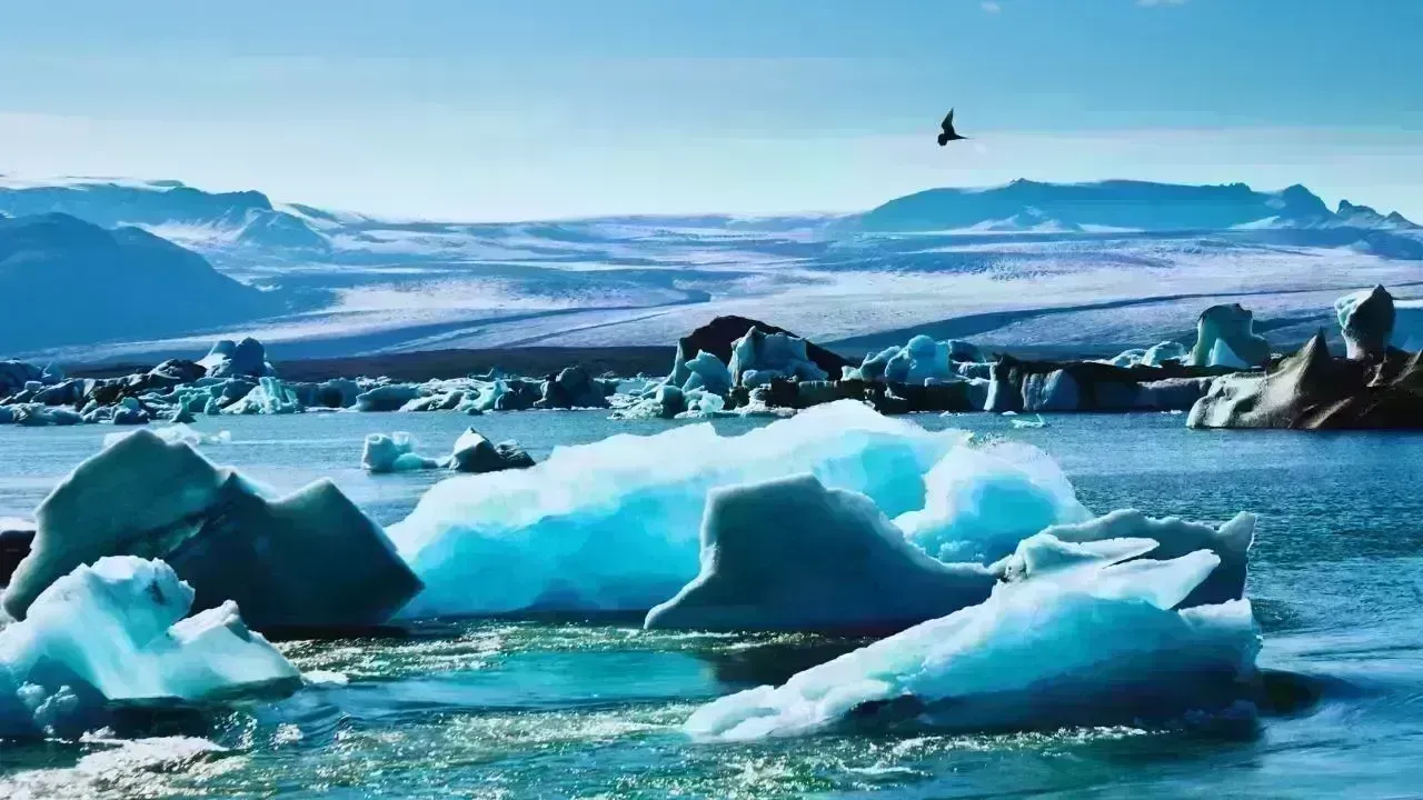 Arctic & Polar Travel Surge: Why People Want the “Edge of the World”