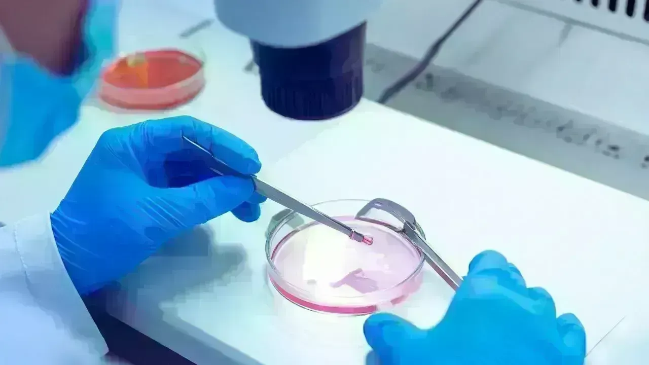 Biotechnology Breakthroughs in 2025: From Health to Agriculture — What’s Real?