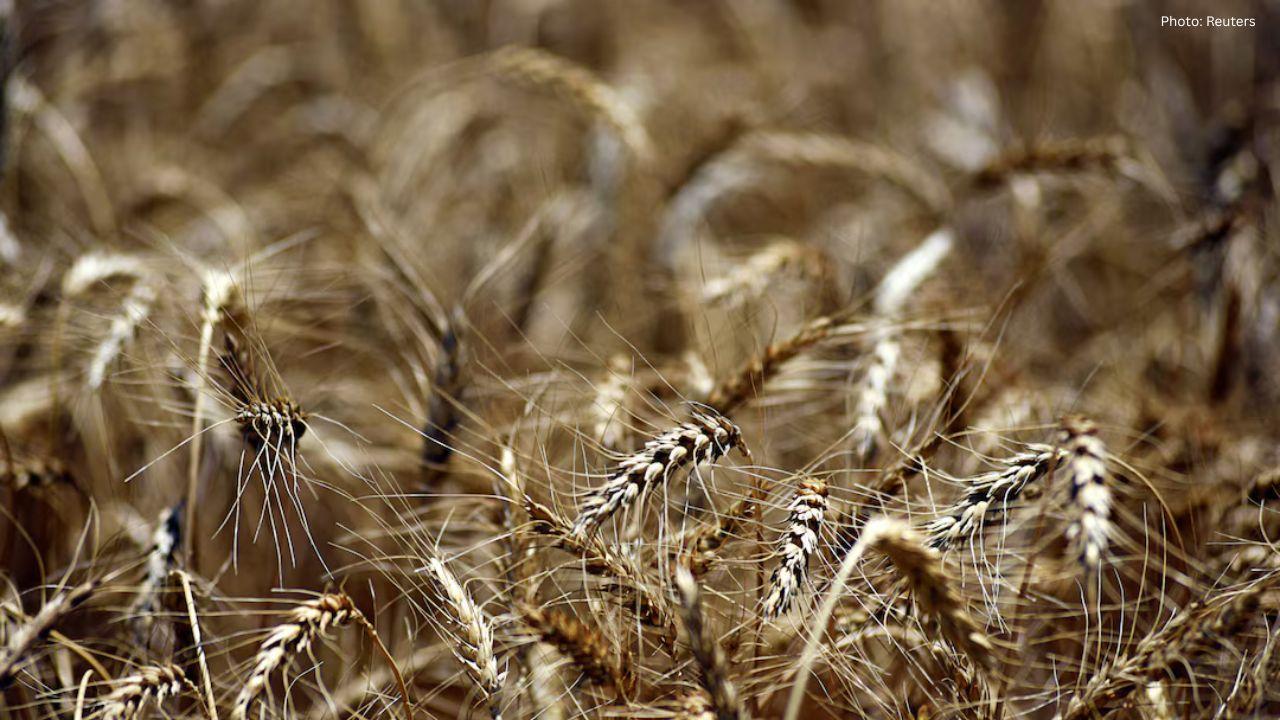 Trump Set to Reveal $12 Billion Aid Initiative for US Farmers in Crisis