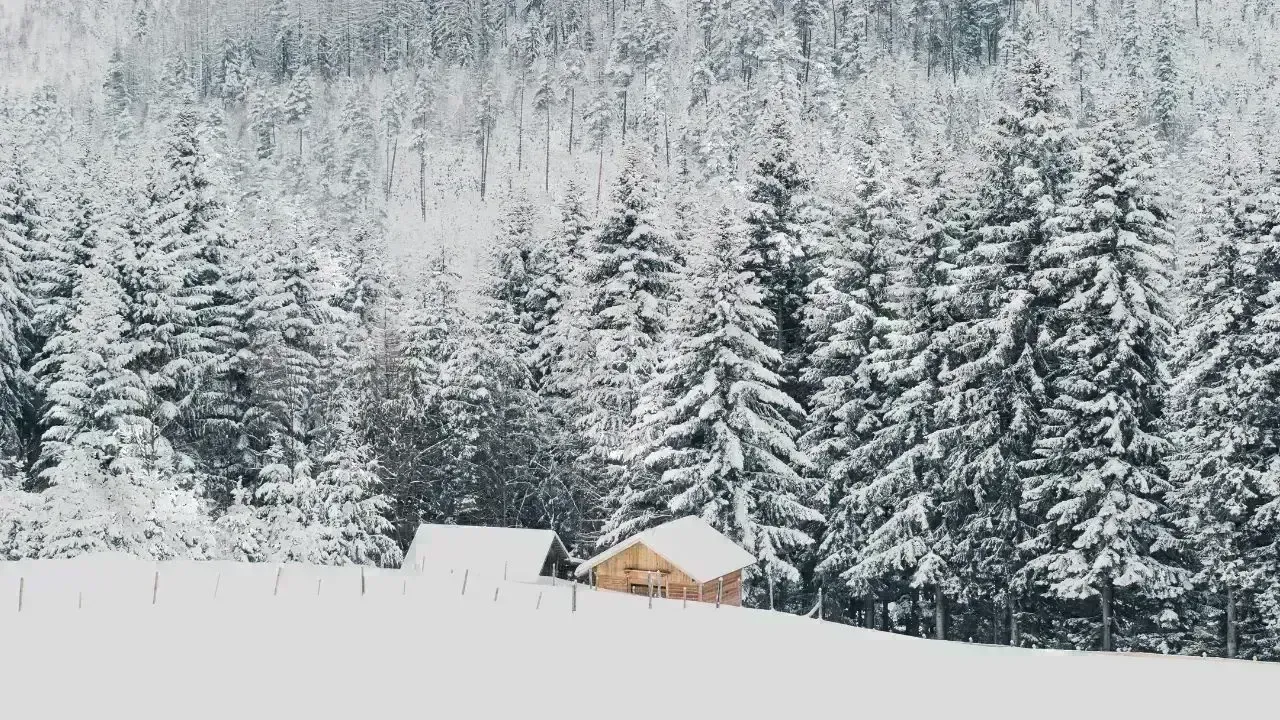 Ottawa Watersheds Experience Temporary Relief Amid Ongoing Challenges