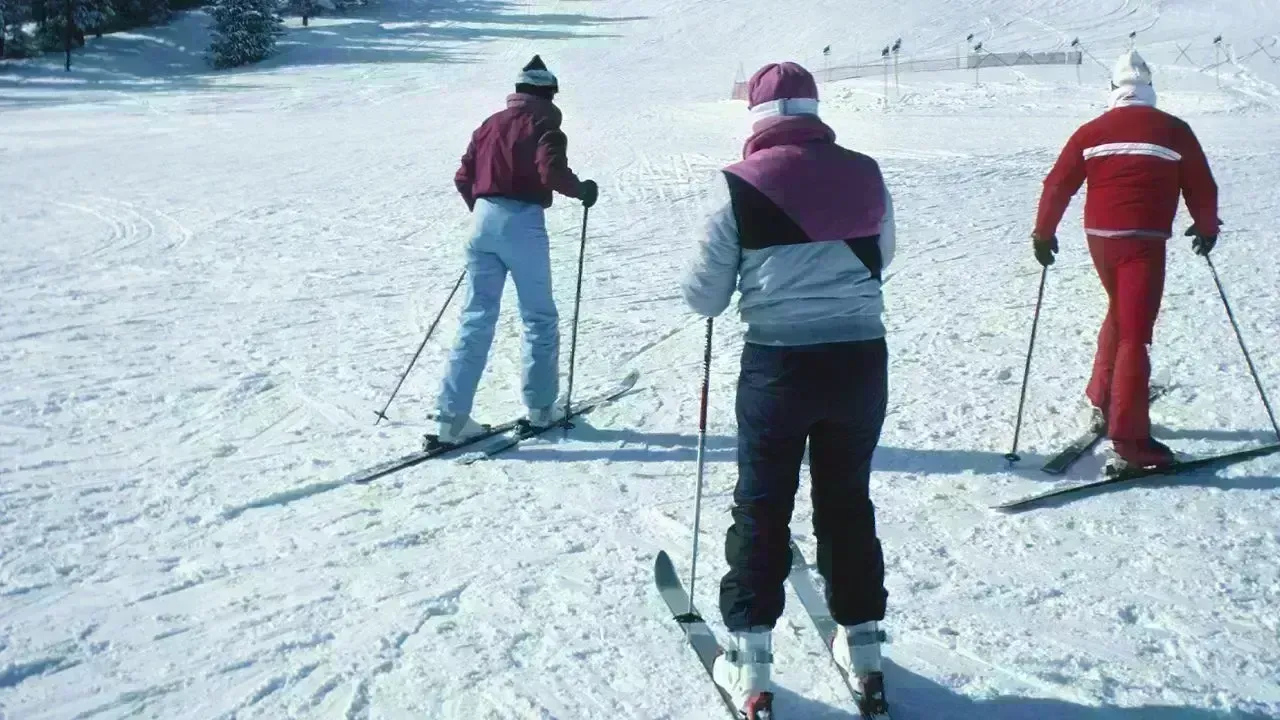 Alberta Faces Severe Winter Weather: Snow, Winds, and Travel Alerts