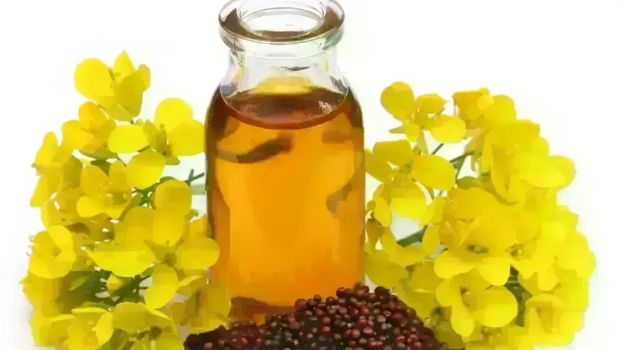 Strengthen Your Hair Naturally with Mustard Oil Remedies