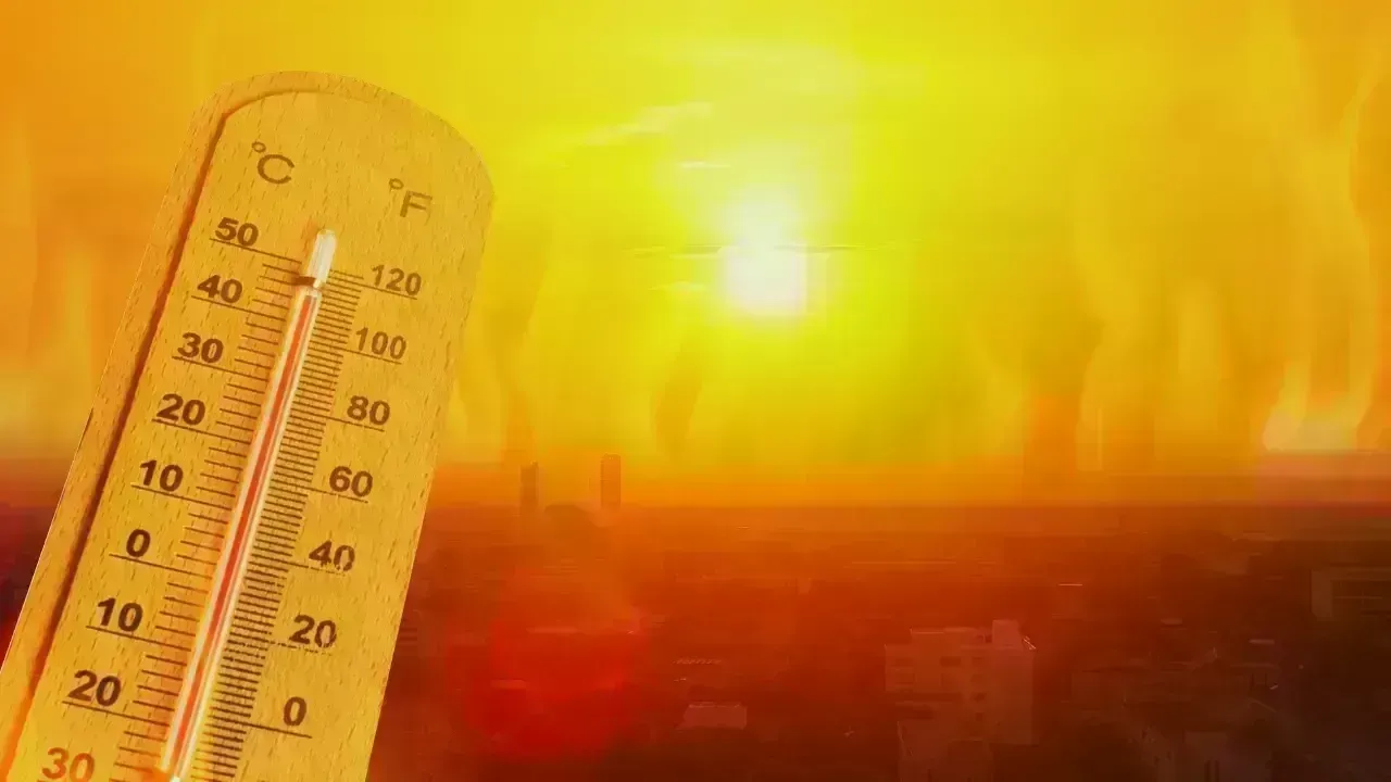 The Alarming Rise of Heatwaves: Why Extreme Temperatures Are Becoming More Dangerous Than Ever