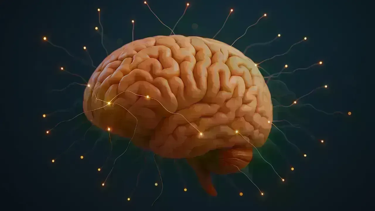 Brainpower on a Plate: The Unexpected Foods That Sharpen Memory and Boost Mental Performance